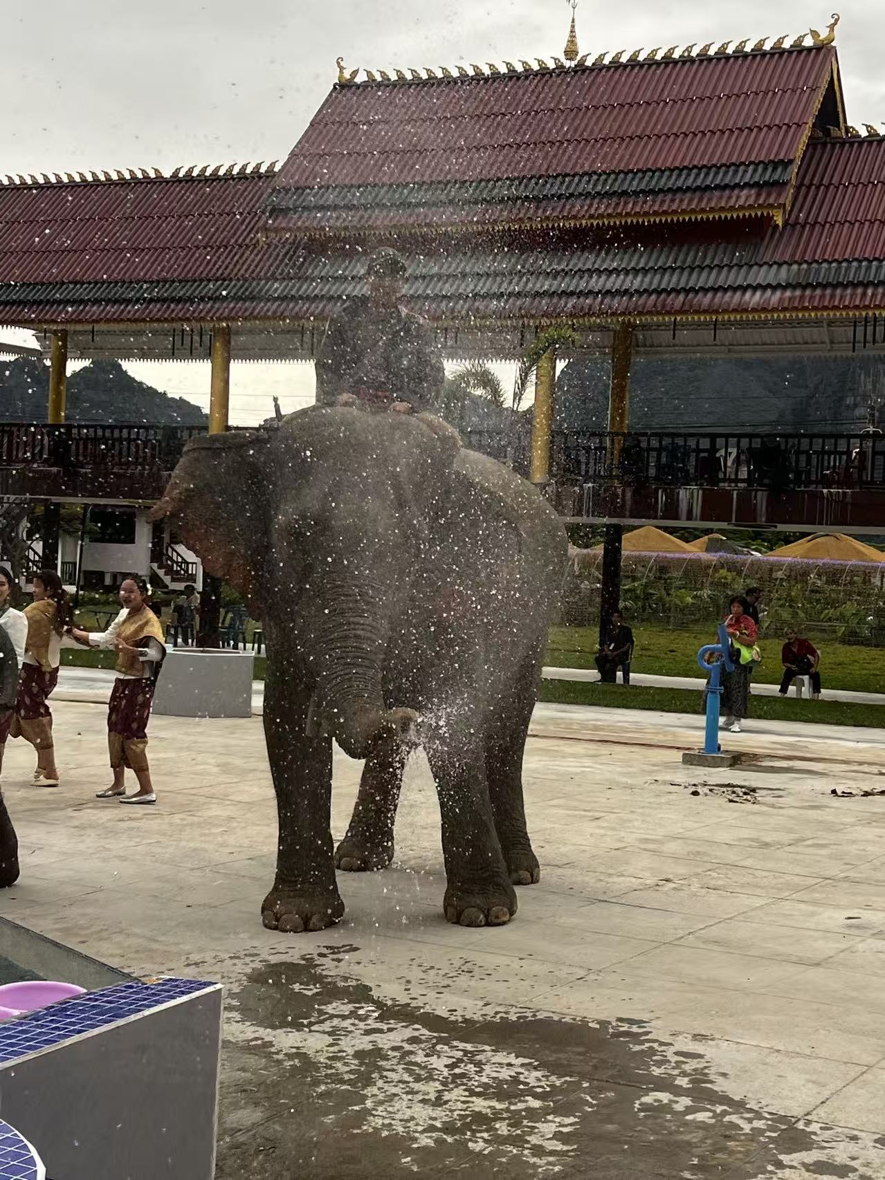 Elephant spraying water in front of the pavilion in Vang Vieng, Laos