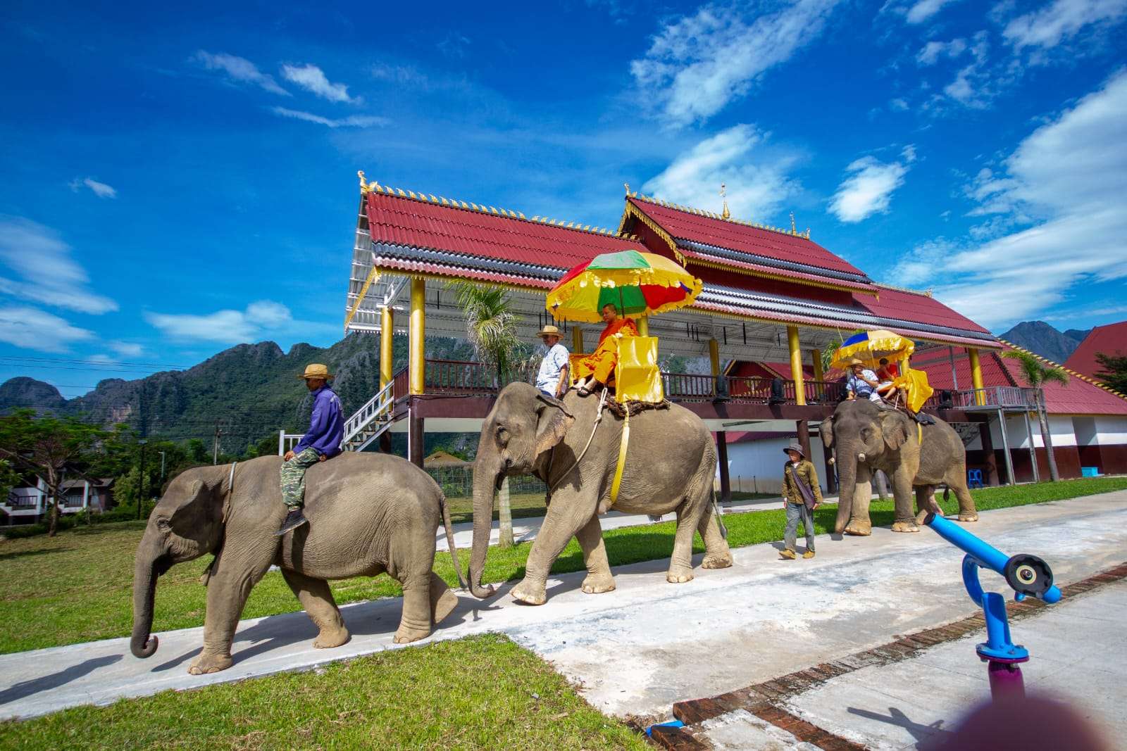 Elephants walking in front of the traditional Lao pavilion at the Vang Vieng elephant camp