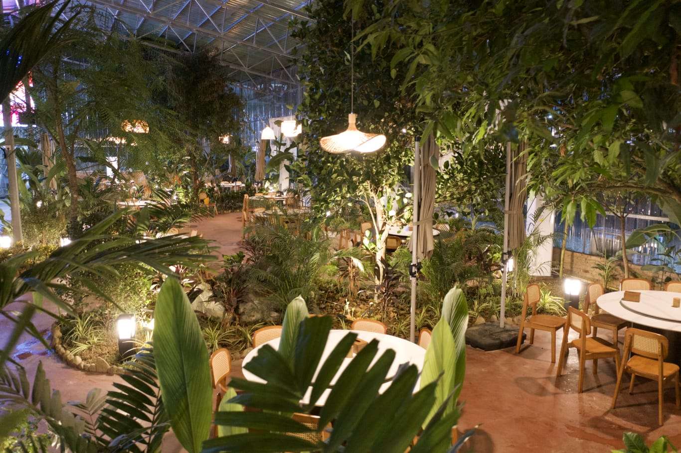 Relaxation area with lights, plants and seating
